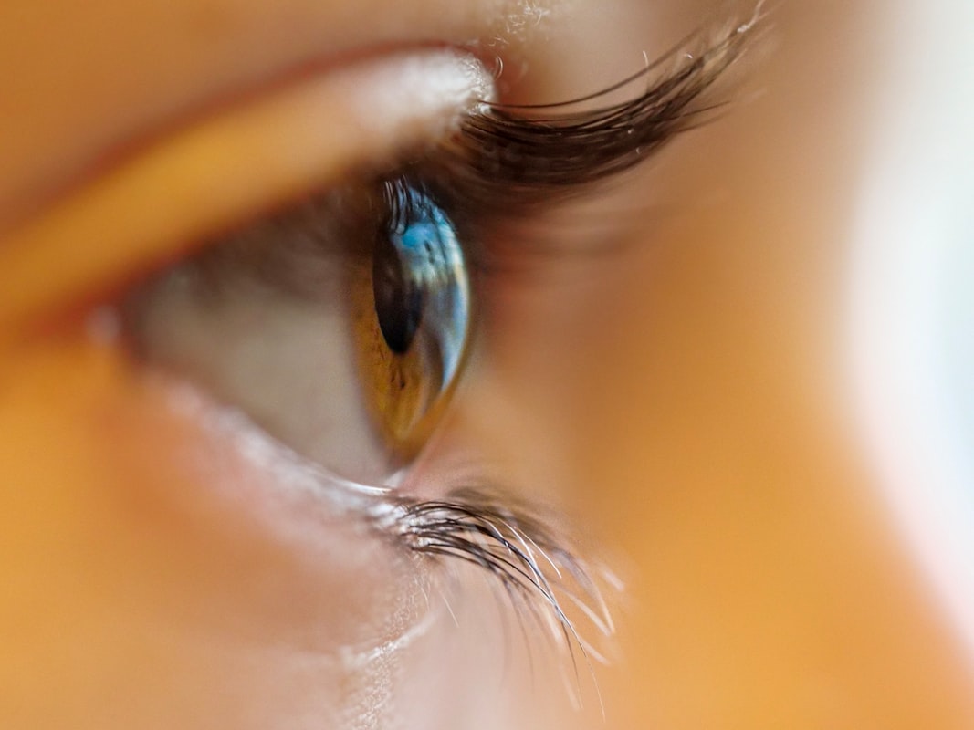 Kontaktlinsen und Brille nebeneinander